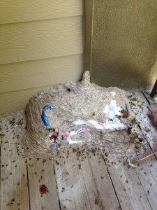 Savannah pest control